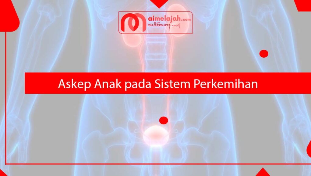 Askep Anak pada Sistem Perkemihan