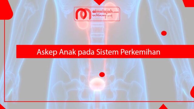 Askep Anak pada Sistem Perkemihan Askep Anak pada Sistem Perkemihan