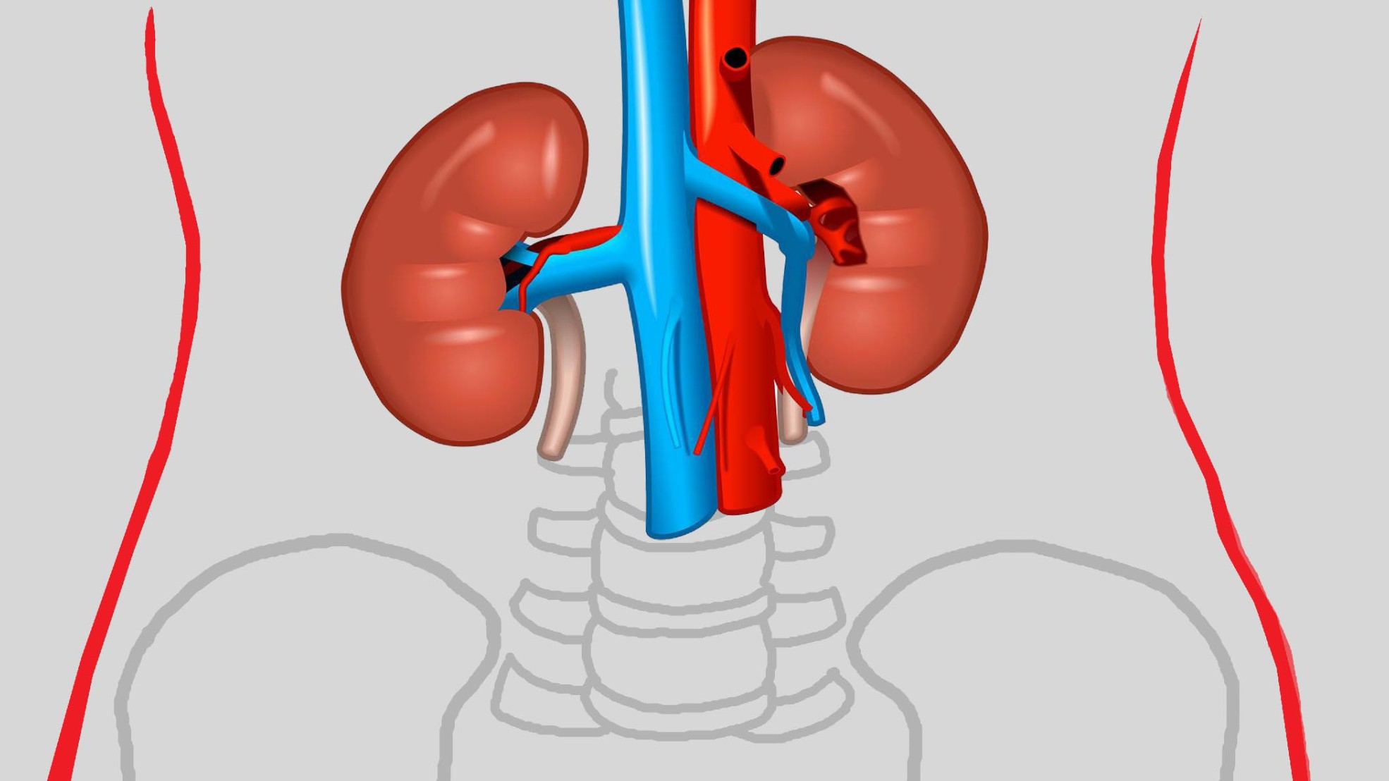 Pengenalan Chronic Kidney Disease