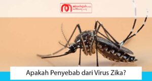 Apakah Penyebab dari Virus Zika? Apakah Penyebab dari Virus Zika?