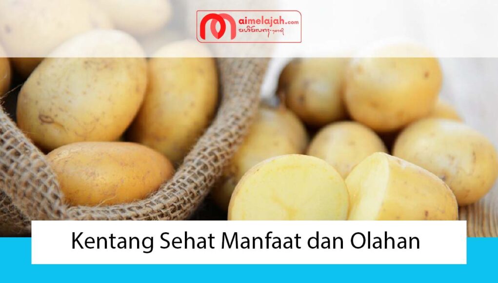 Kentang Sehat Manfaat dan Olahan