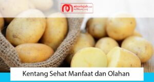 Kentang Sehat Manfaat dan Olahan Kentang Sehat Manfaat dan Olahan