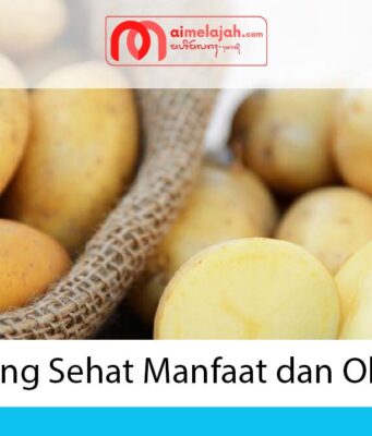 Kentang Sehat Manfaat dan Olahan Kentang Sehat Manfaat dan Olahan