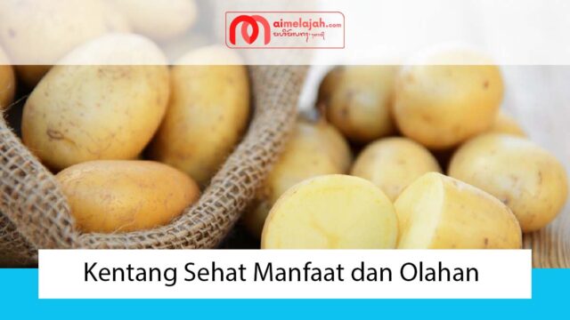 Kentang Sehat Manfaat dan Olahan Kentang Sehat Manfaat dan Olahan