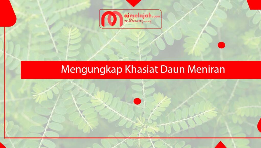 Mengungkap Khasiat Daun Meniran