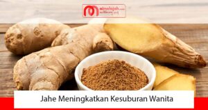 Jahe Meningkatkan Kesuburan Wanita Jahe Meningkatkan Kesuburan Wanita