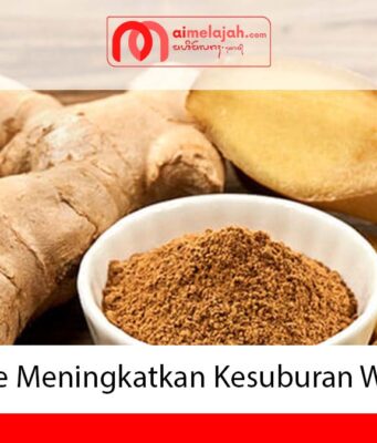 Jahe Meningkatkan Kesuburan Wanita Jahe Meningkatkan Kesuburan Wanita