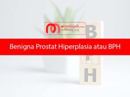 Benigna Prostat Hiperplasia atau BPH