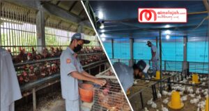 Mengenal Kompetensi Keahlian ATU SMKN 2 Negara