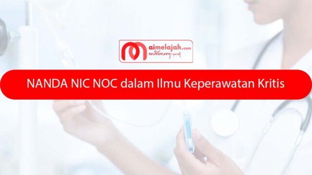 NANDA NIC NOC dalam Ilmu Keperawatan Kritis NANDA NIC NOC dalam Ilmu Keperawatan Kritis